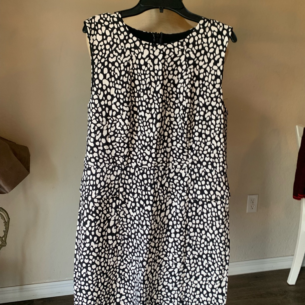Ann Taylor Elegant Black And White Sleeveless Dress Size 10 Zippered Back